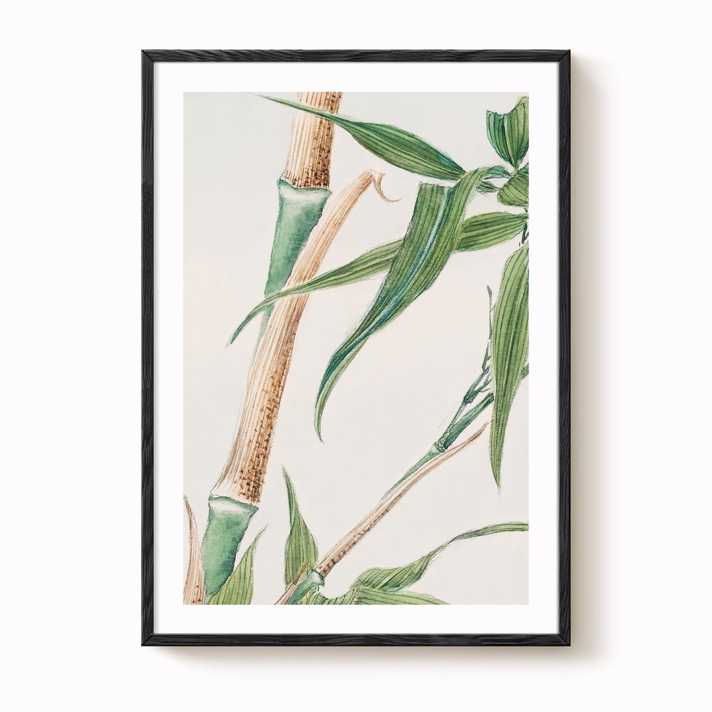 Megata Morikaga - Japanese Bamboo Print