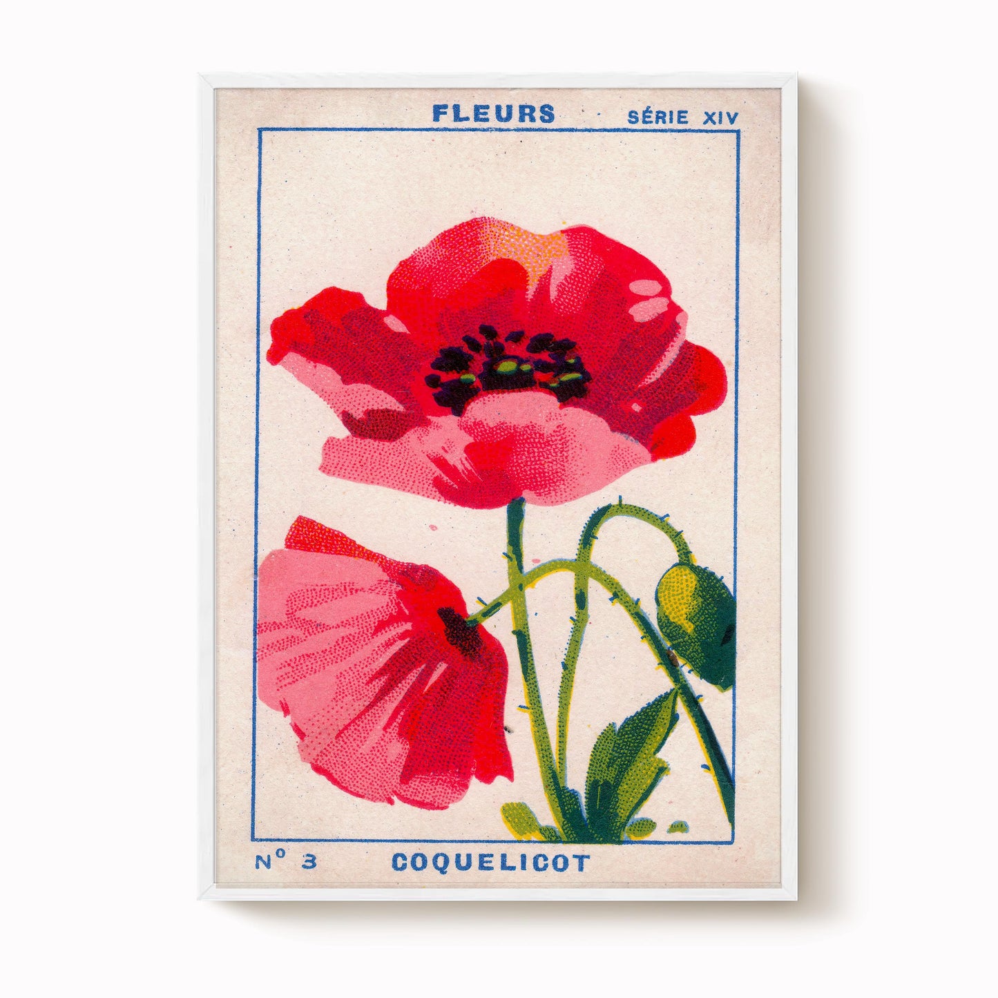 Vintage Poppy Print