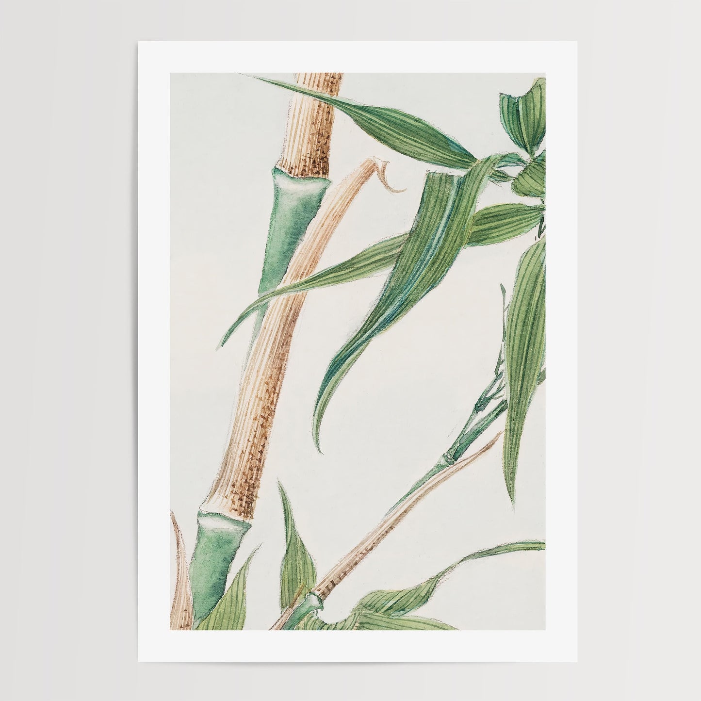 Megata Morikaga - Japanese Bamboo Print