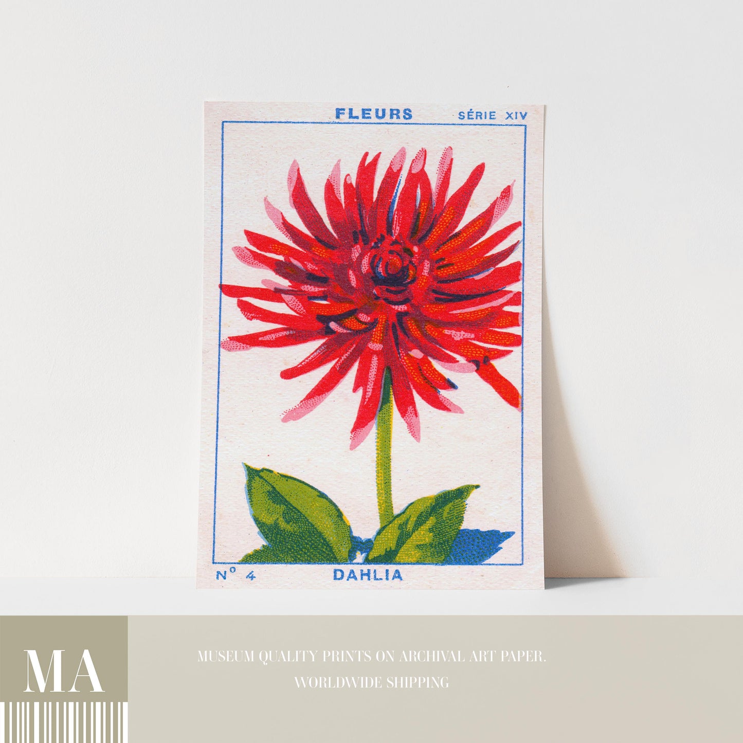 Vintage Dahlia Print