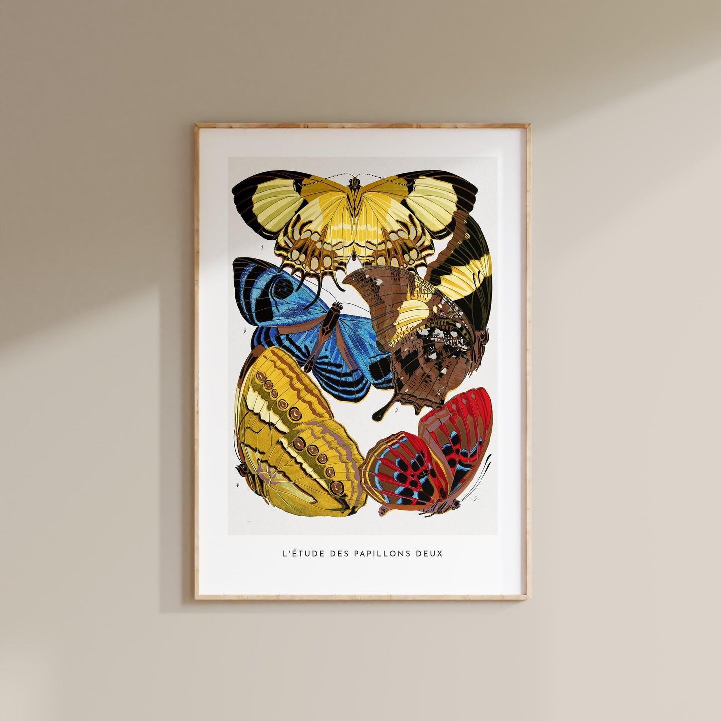 E.A. Séguy - Papillons Pl.04 Butterflies Print