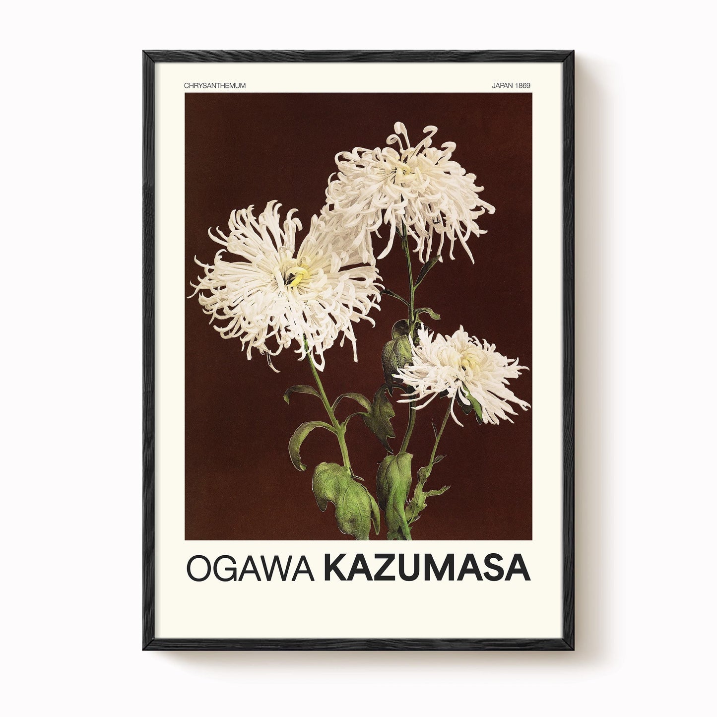 Ogawa Kazumasa - Chrysanthemum Print