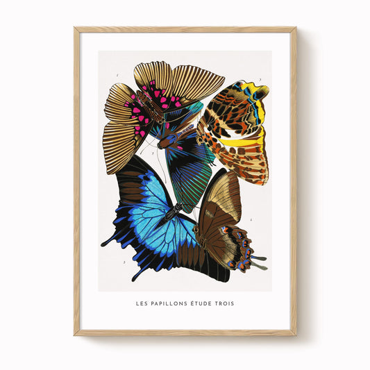 A. Séguy - Vintage Butterfly Print