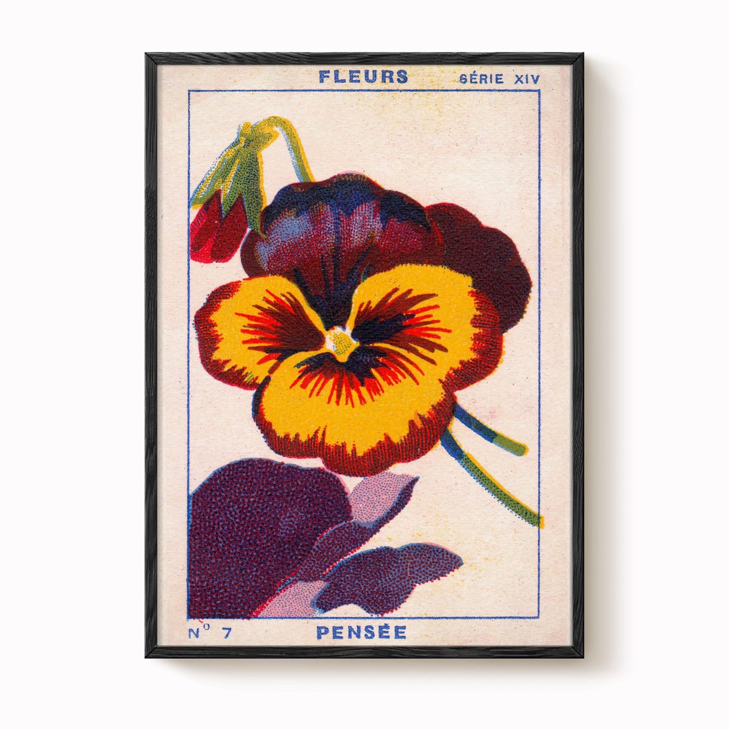 Vintage Pansy Flower Print