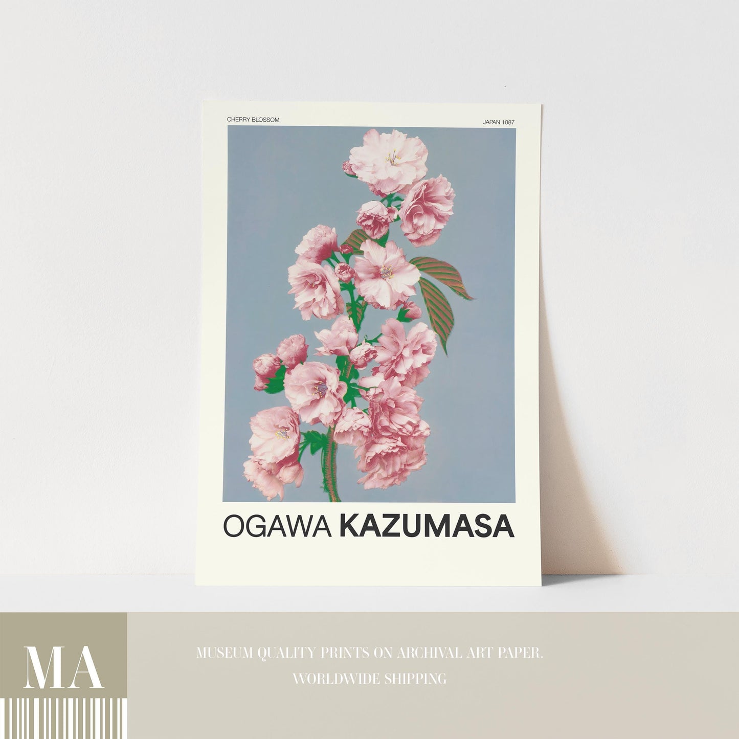 Ogawa Kazumasa - Cherry Blossom Print