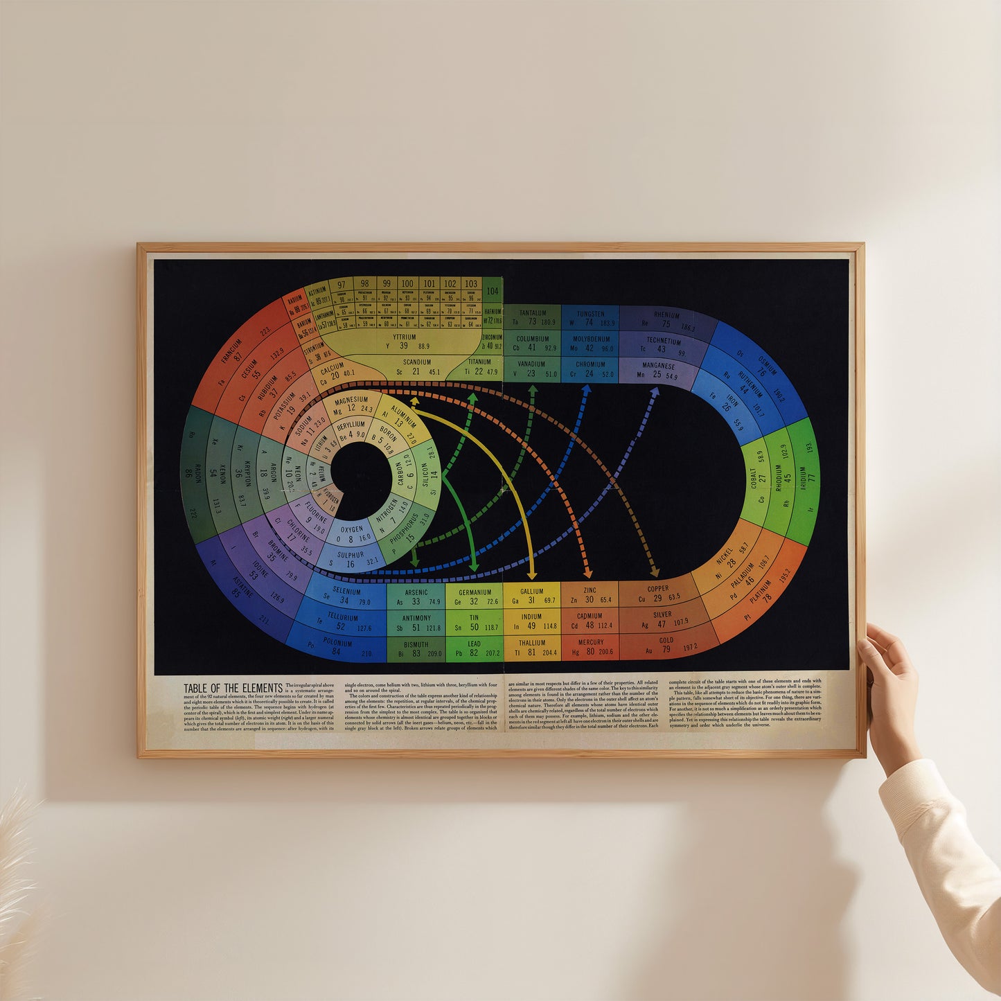A person is holding up a framed poster or painting that features a colorful spiral diagram with various sections or sections of the spiral.