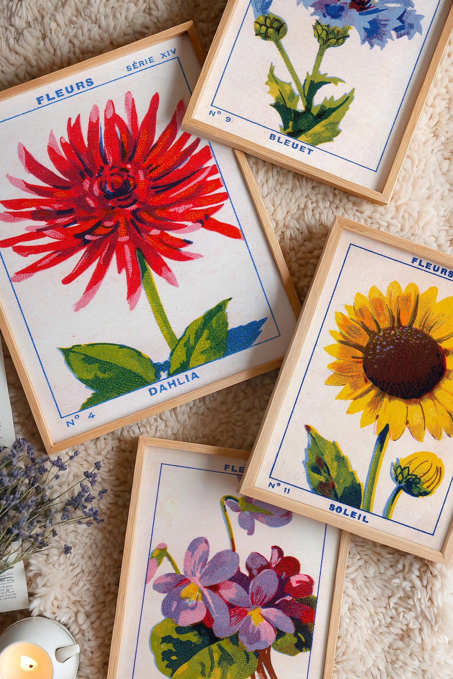 a collection of framed botanical illustrations of various flowers, including a large red flower, a yellow sunflower, and purple flowers.