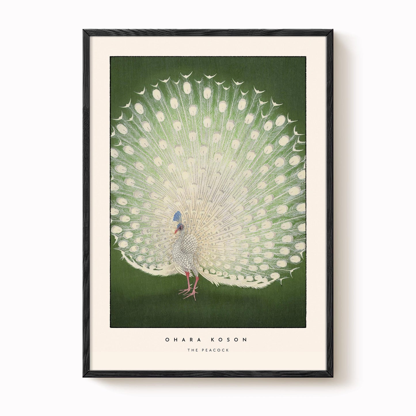 Ohara Koson - The Peacock Print