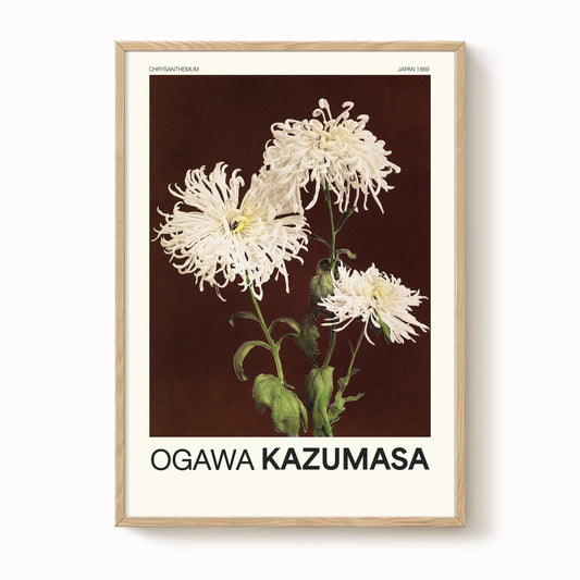 Ogawa Kazumasa - Chrysanthemum Print