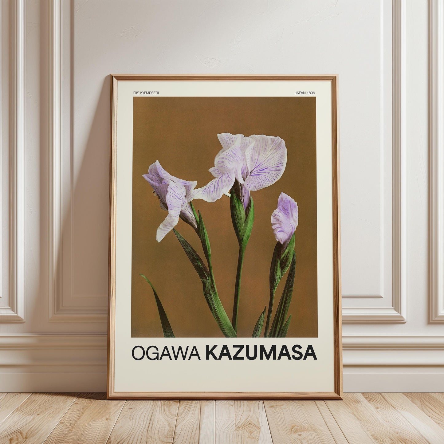Ogawa Kazumasa - Vintage Japanese Iris Print