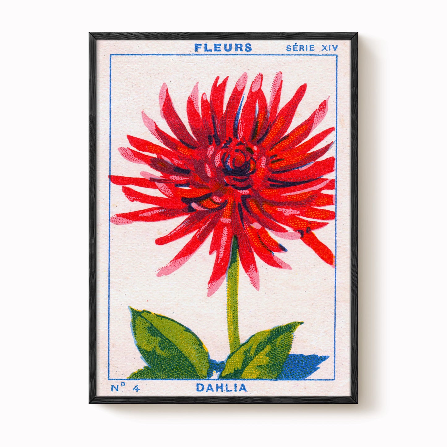Vintage Dahlia Print