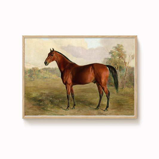 Vintage Painting Horse Print