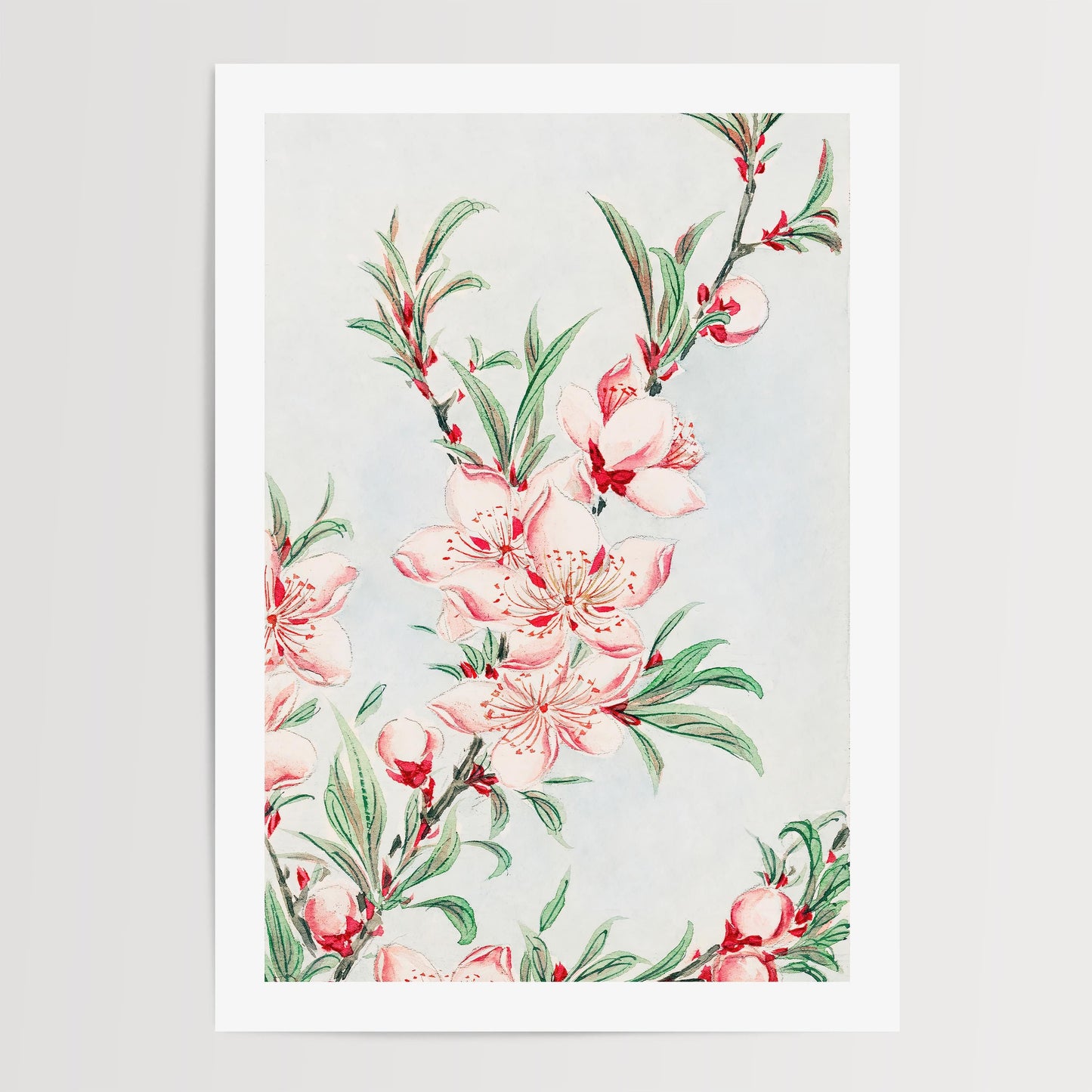 Megata Morikaga - Peach Tree Blossom Print