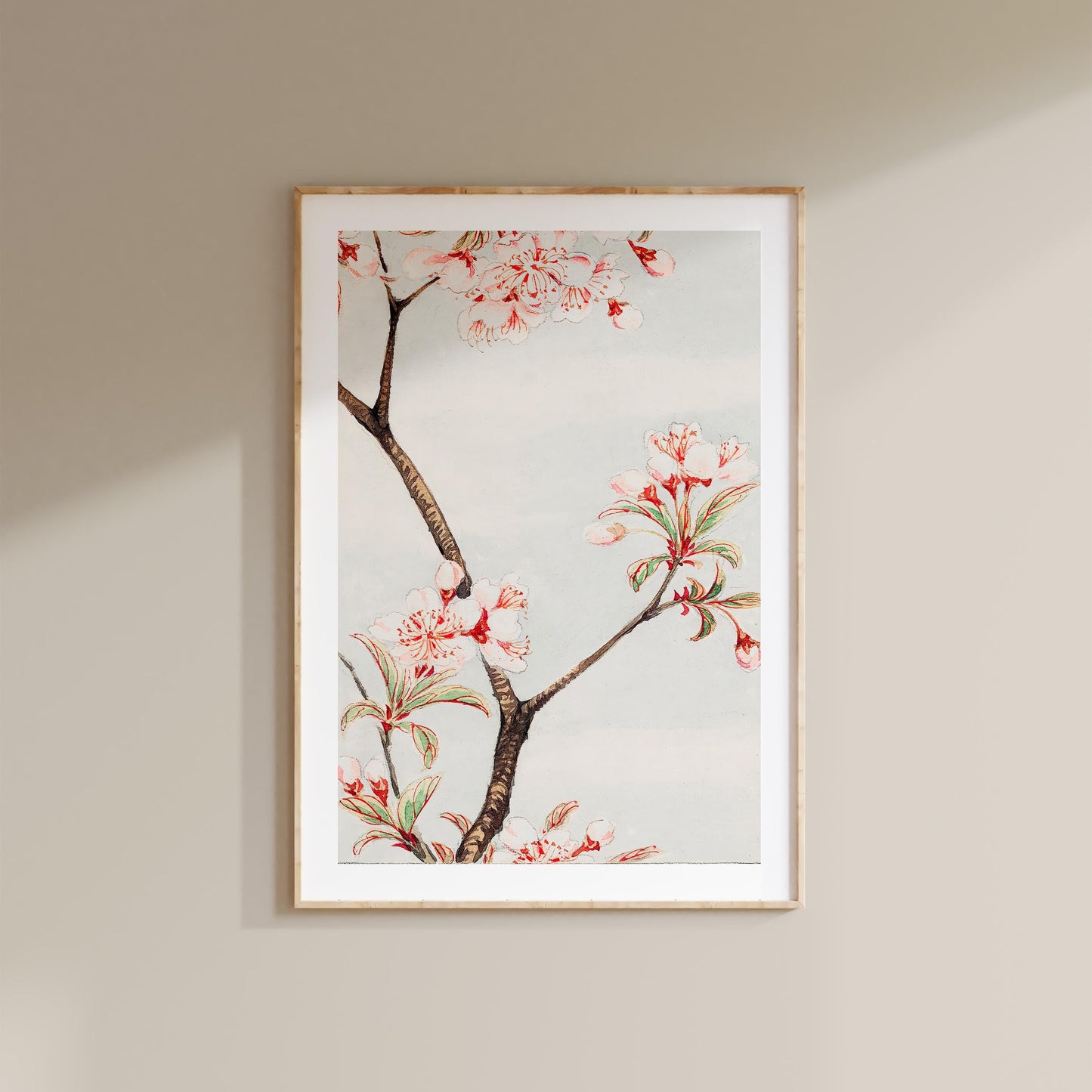 Megata Morikaga - Sakura Cherry Blossom Print