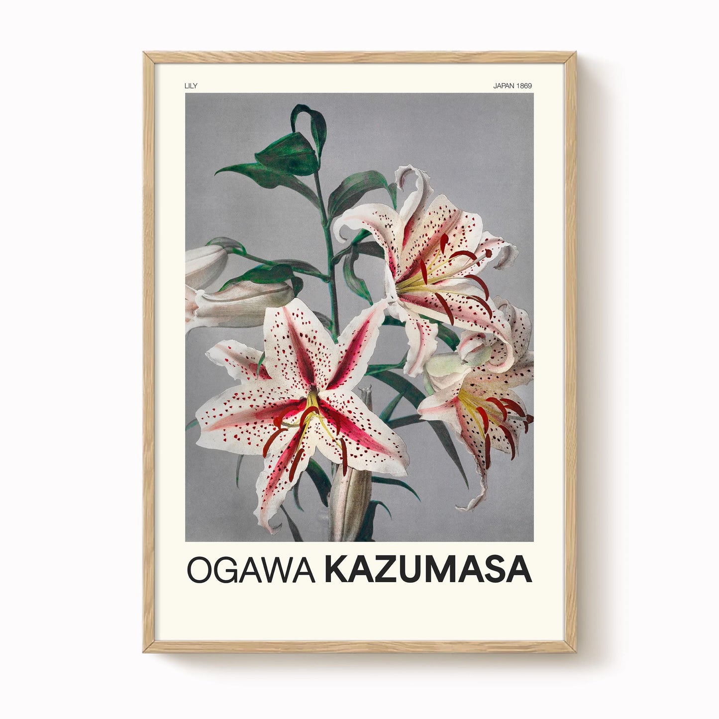 Ogawa Kazumasa - Lily Print