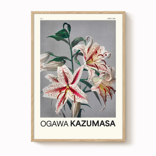 Ogawa Kazumasa - Lily Print