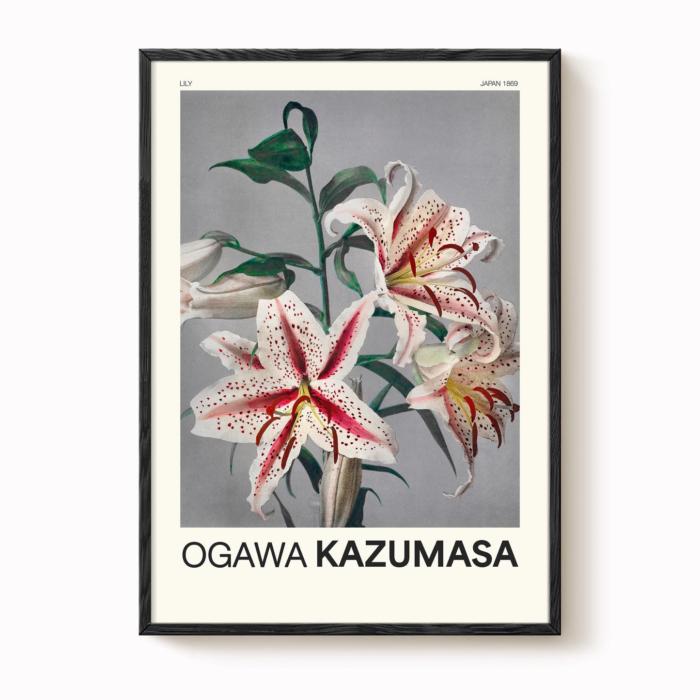 Ogawa Kazumasa - Lily Print