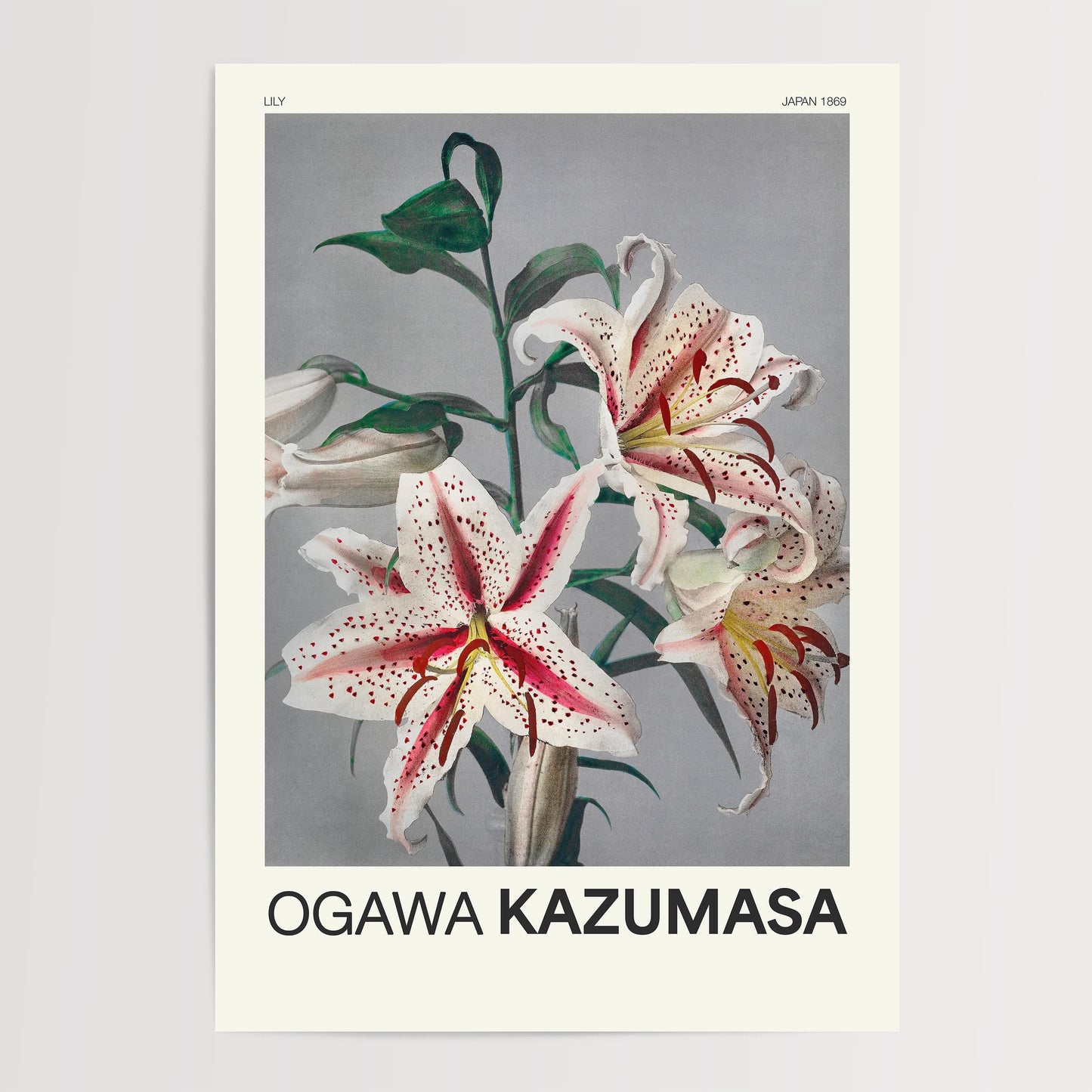Ogawa Kazumasa - Lily Print