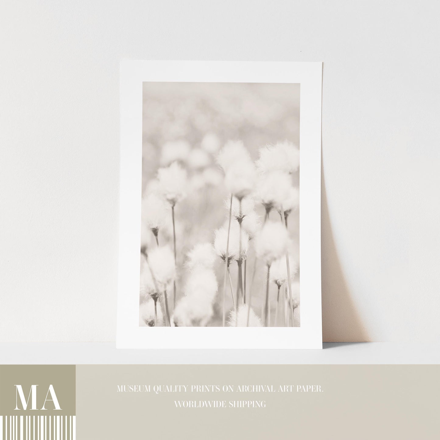 Cotton Grass Art Print