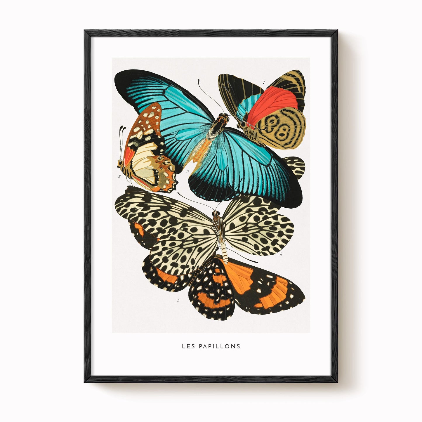 E.A. Séguy - Papillons Pl.11 Butterflies Print