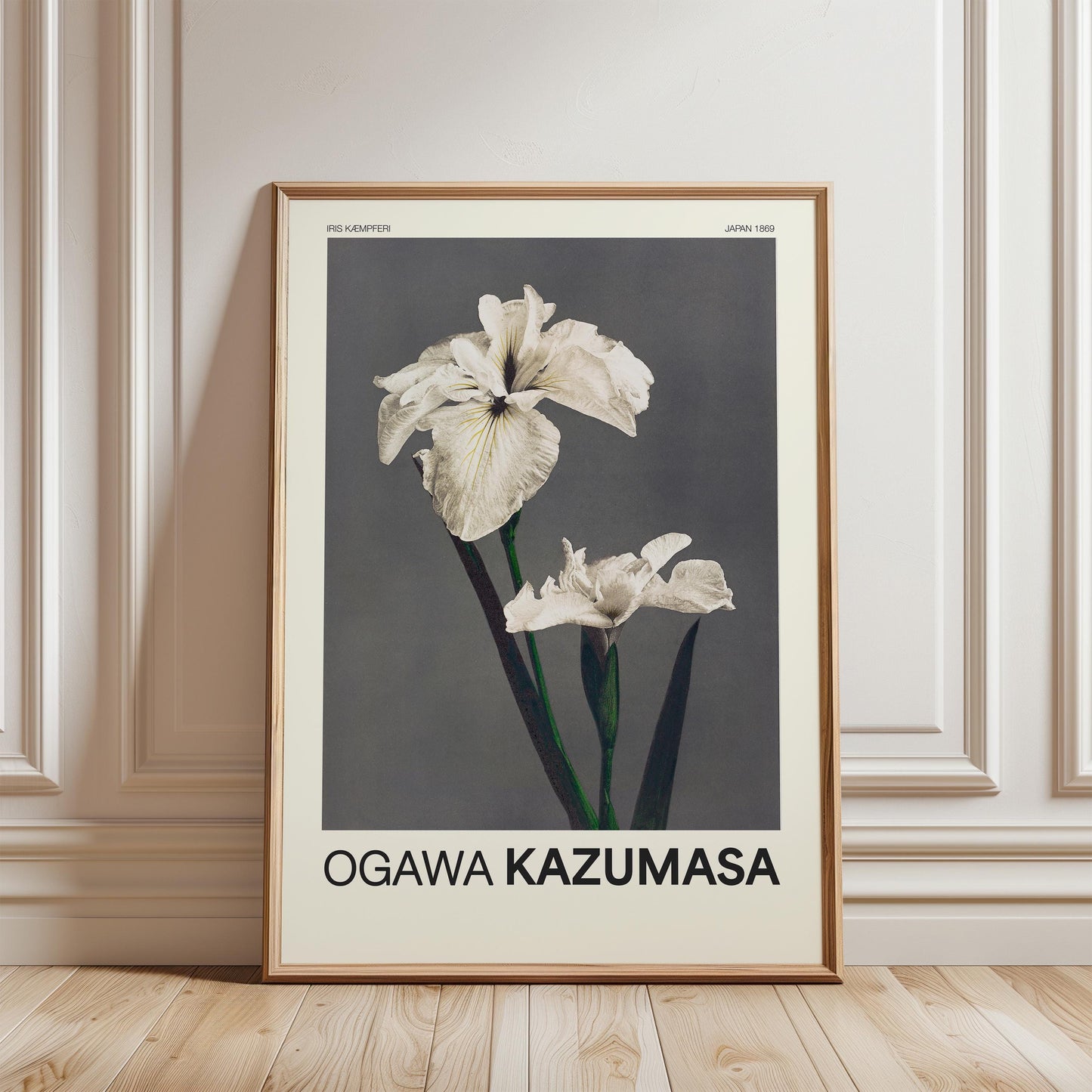 Ogawa Kazumasa -  Iris Kaempferi Print