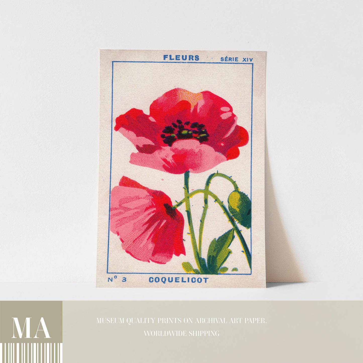 Vintage Poppy Print