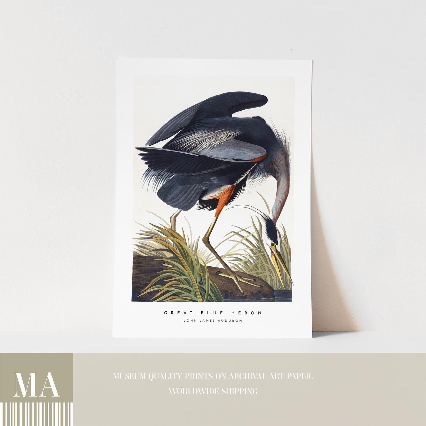 Great Blue Heron Print