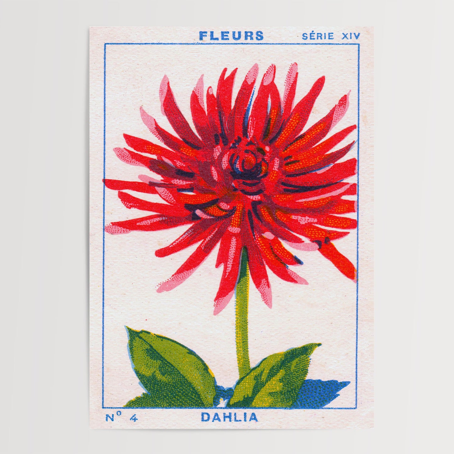 Vintage Dahlia Print