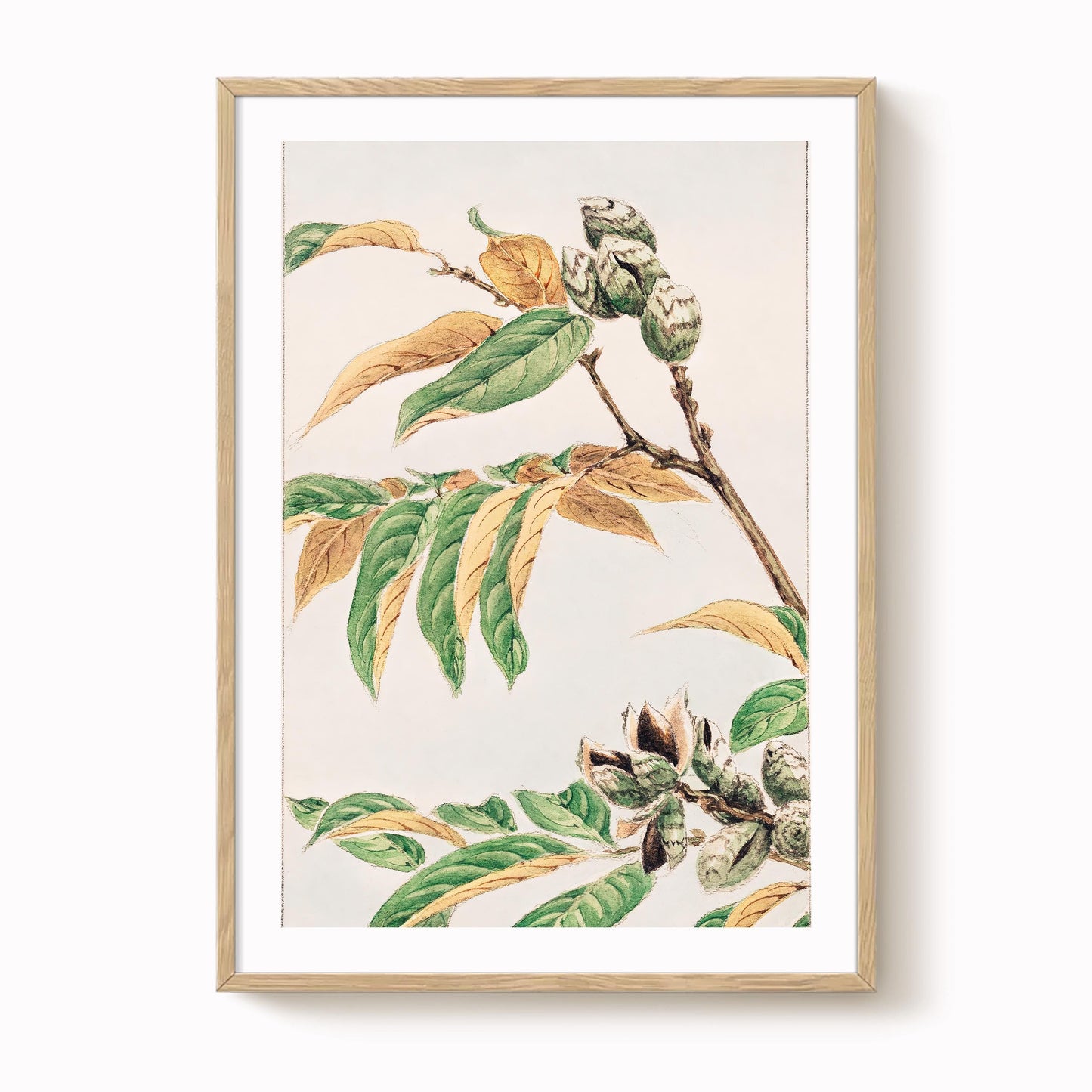 Megata Morikaga - Shi Art Print