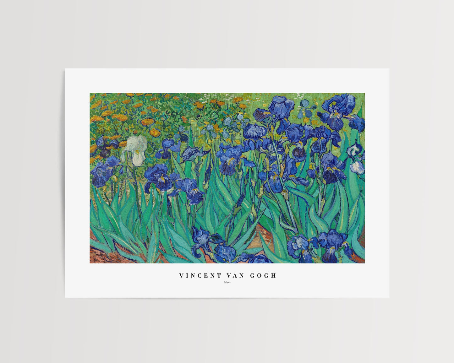 Van Gogh - Irises Print