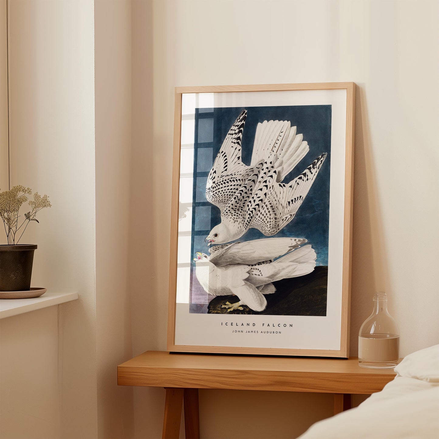 Iceland Falcon Print