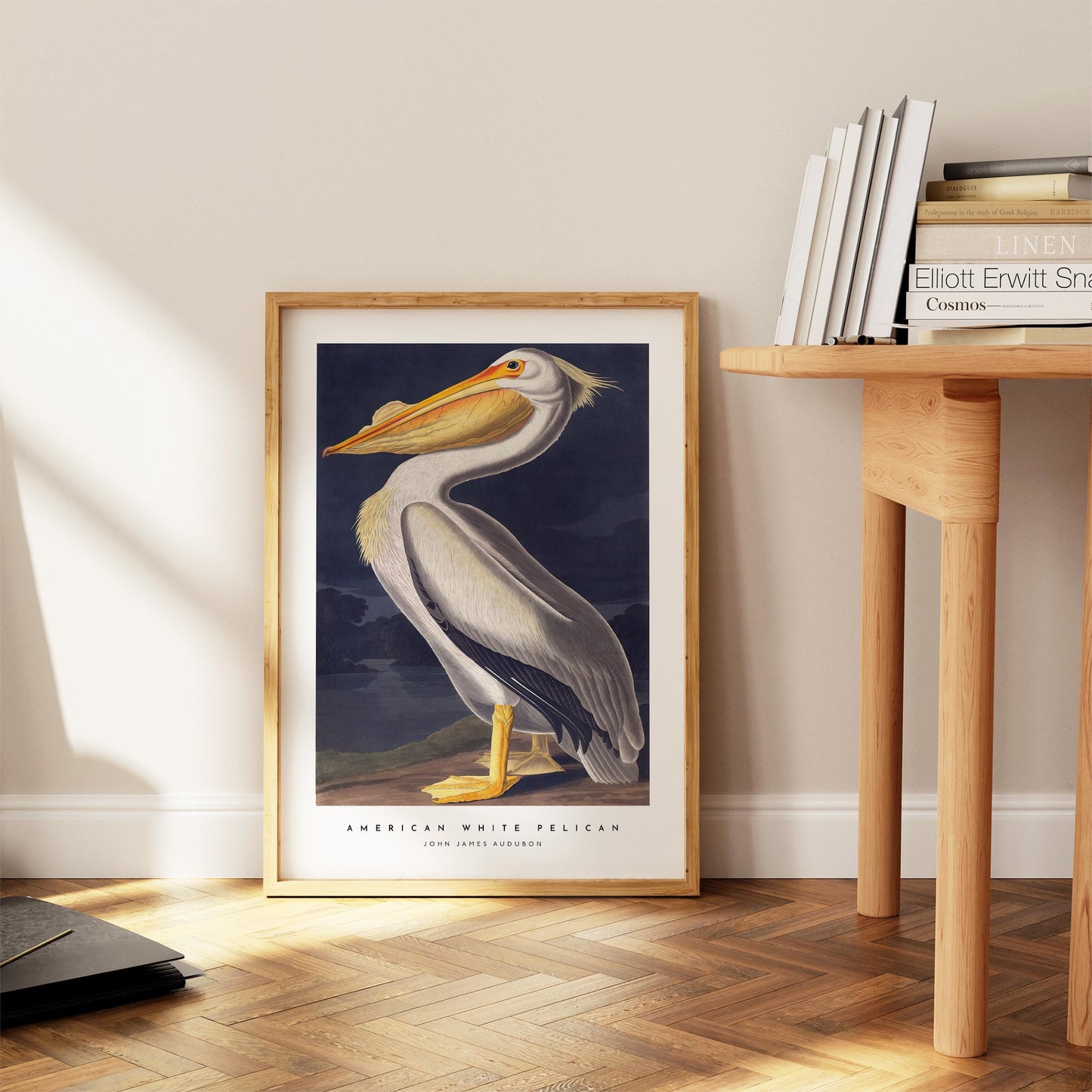 American White Pelican Print