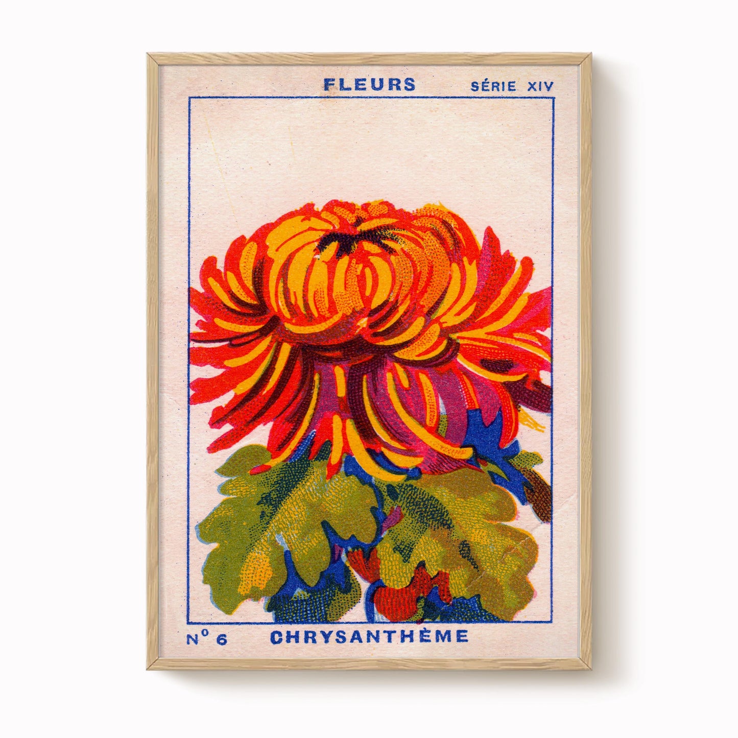 Vintage Chrysanthemum Print