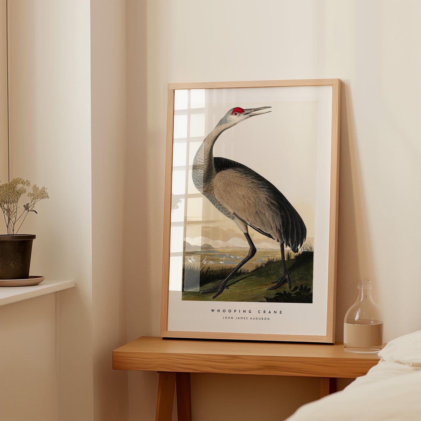 Whooping Crane Print