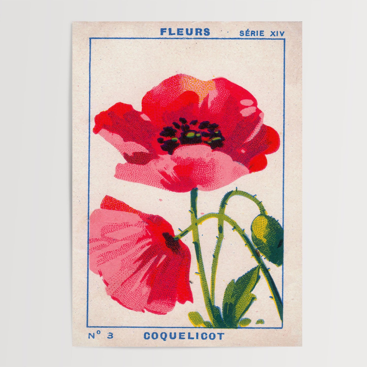 Vintage Poppy Print