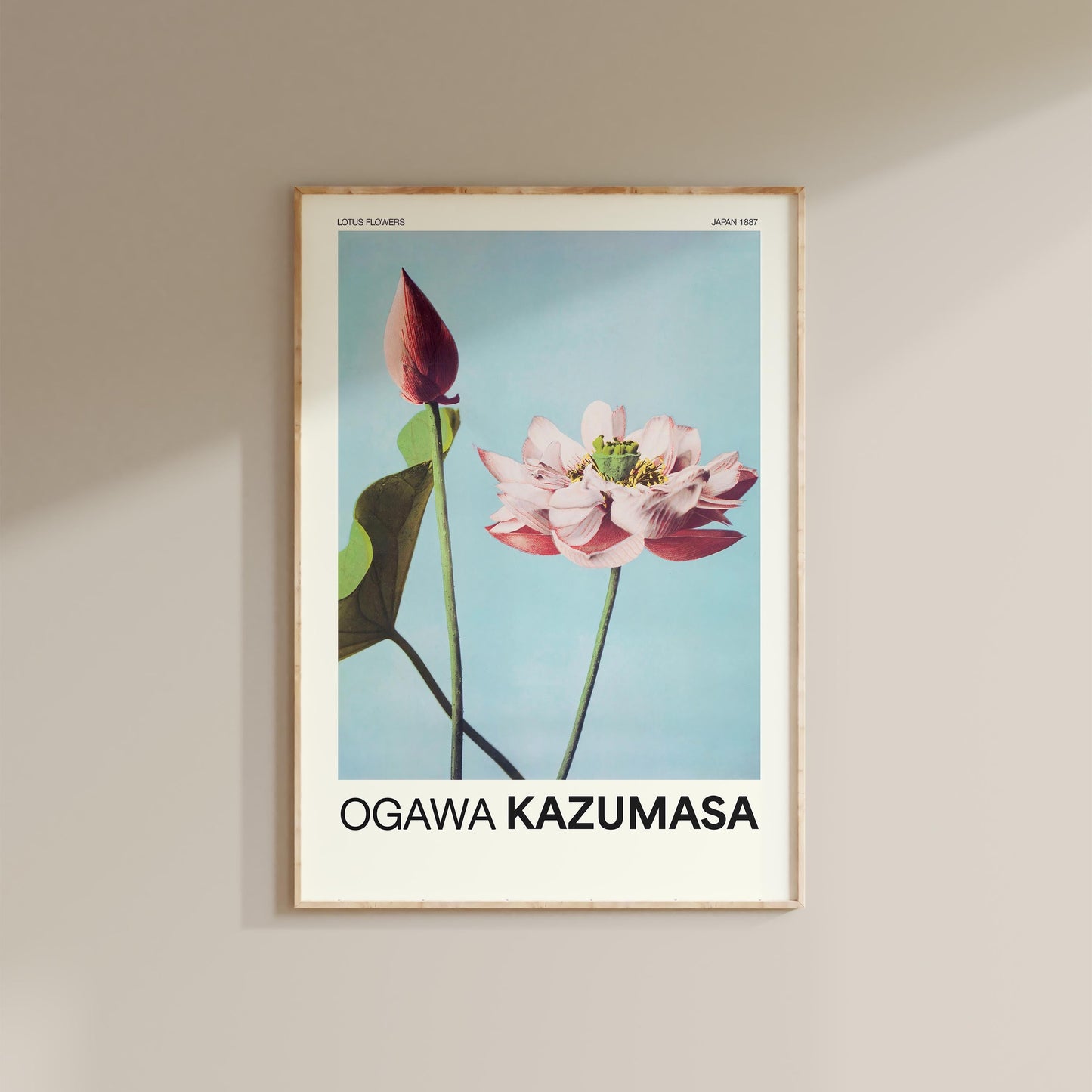 Ogawa Kazumasa - Lotus Flowers Print