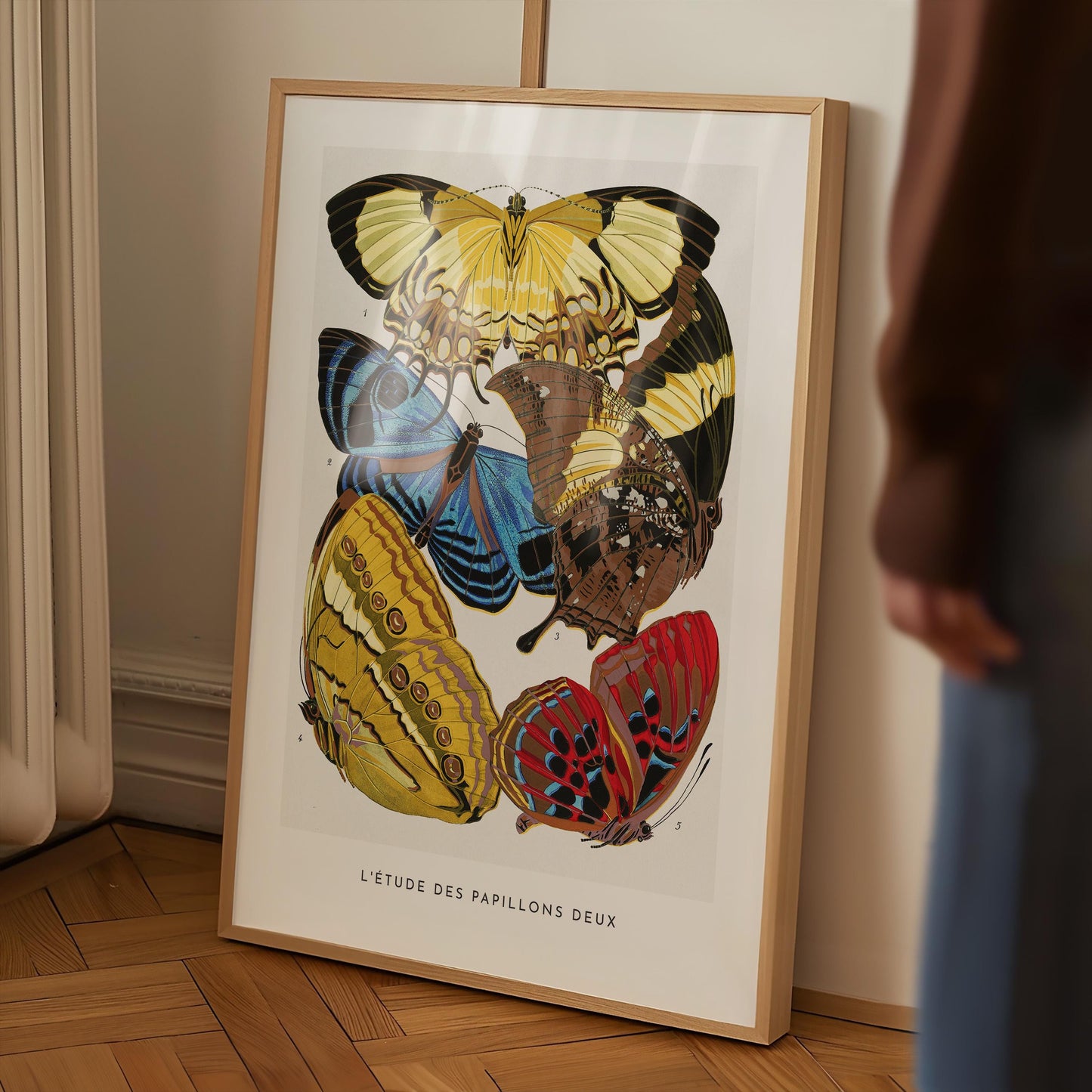 E.A. Séguy - Papillons Pl.04 Butterflies Print