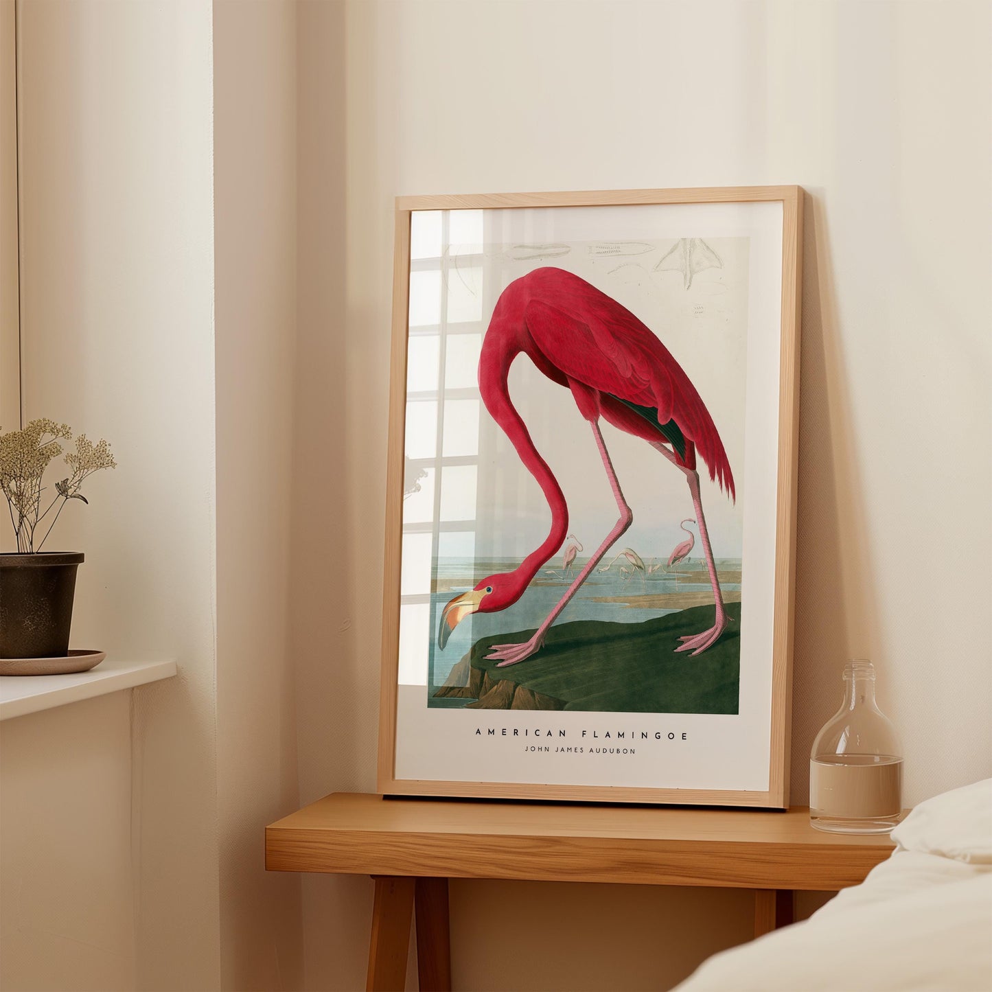 American Flamingo Print
