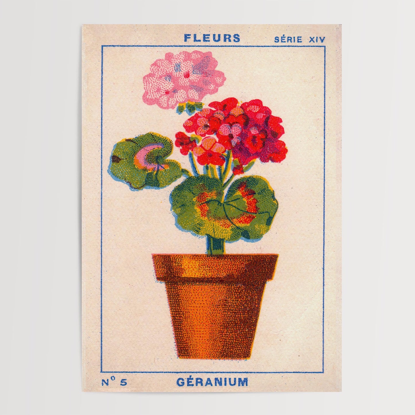 Vintage Geranium Print
