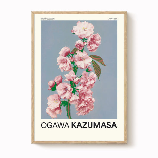 Ogawa Kazumasa - Cherry Blossom Print