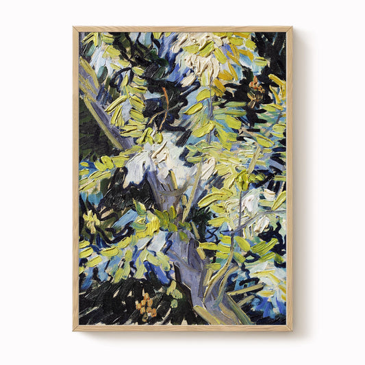 Van Gogh - Acacia in Flower Print