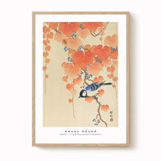 Ohara Koson - Great Tit On Paulownia Branch Print