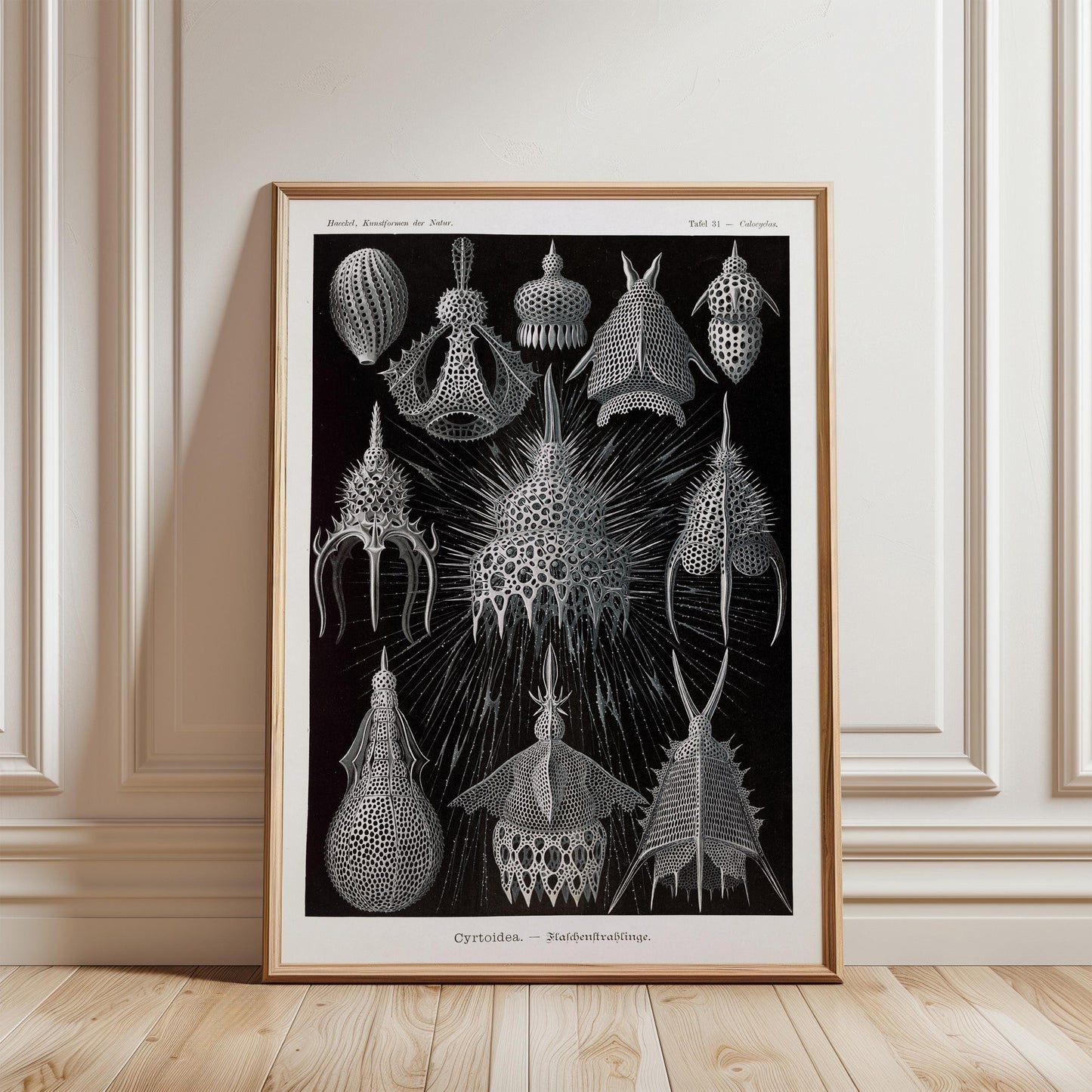 Ernst Haeckel - Cyrtoidea Art Print