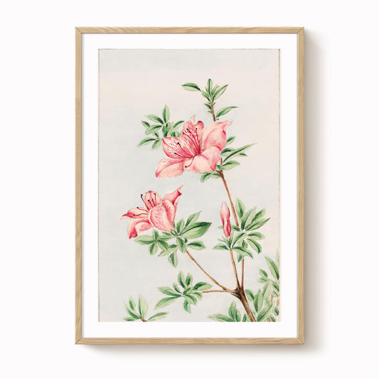 Megata Morikaga - Tsutsuji Rhododendron Art Print