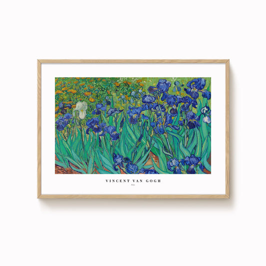 Van Gogh - Irises Print