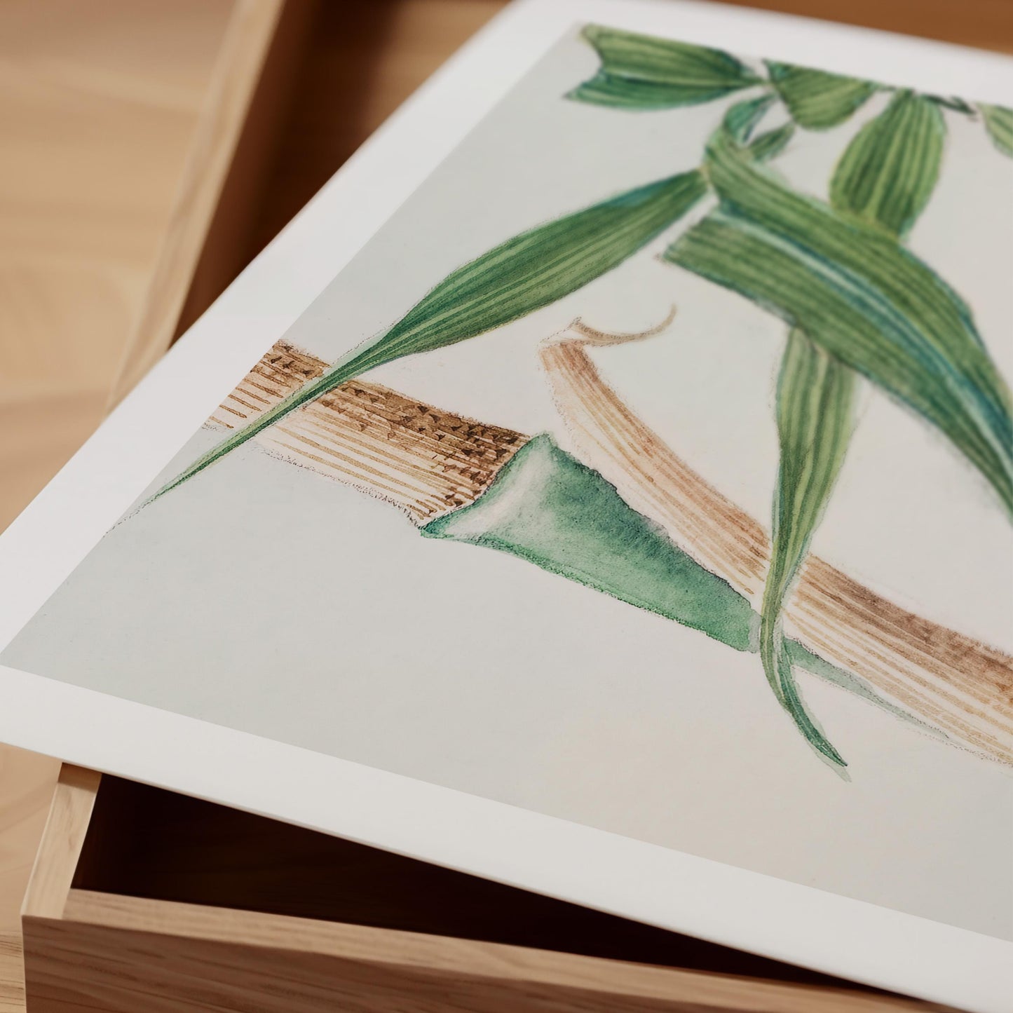 Megata Morikaga - Japanese Bamboo Print