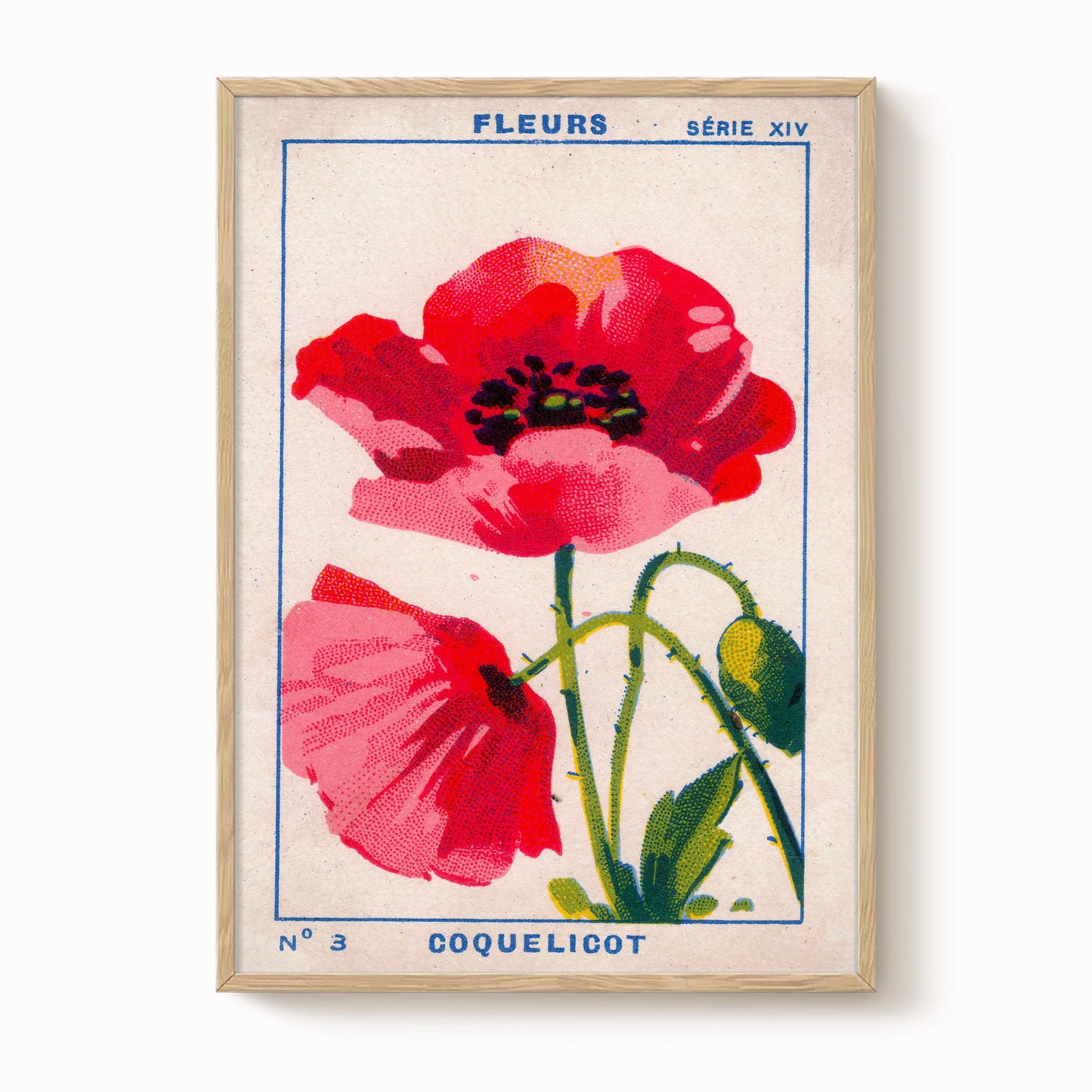 Vintage Poppy Print