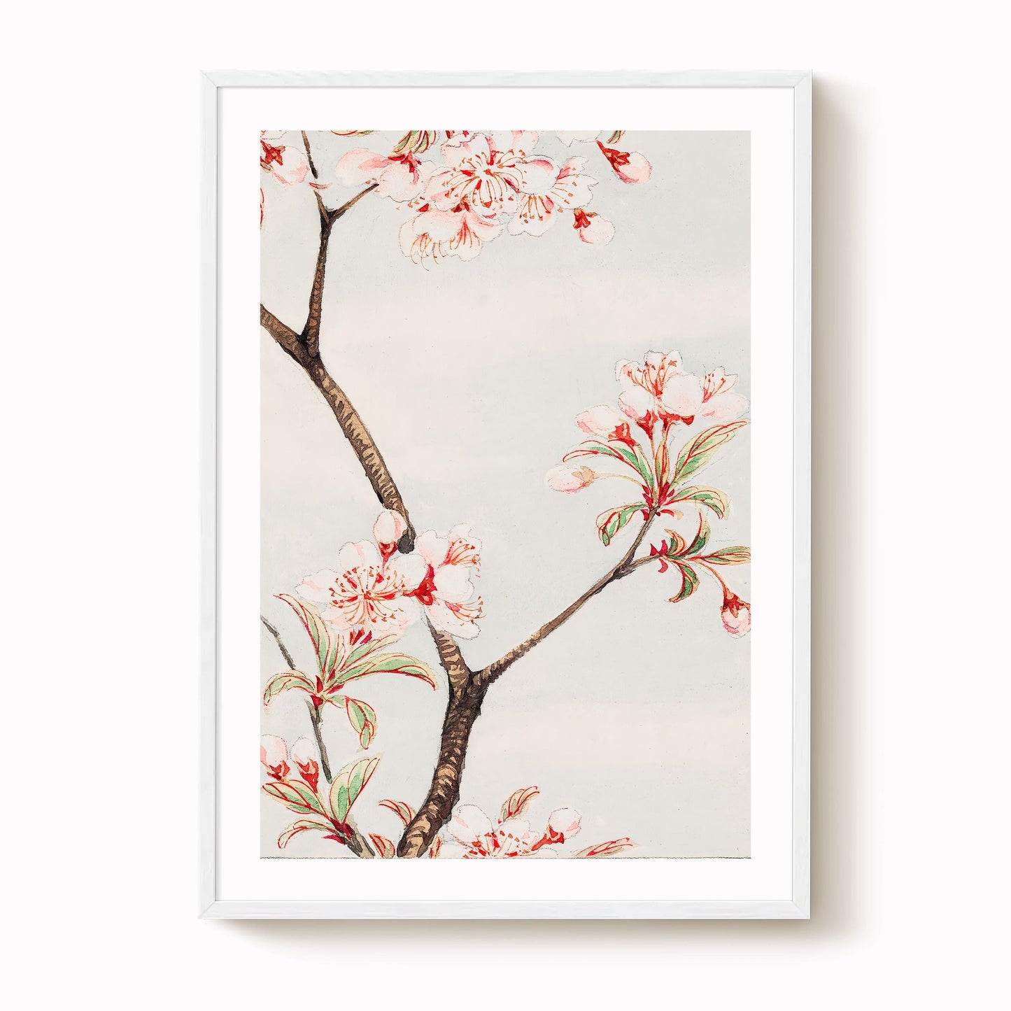 Megata Morikaga - Sakura Cherry Blossom Print
