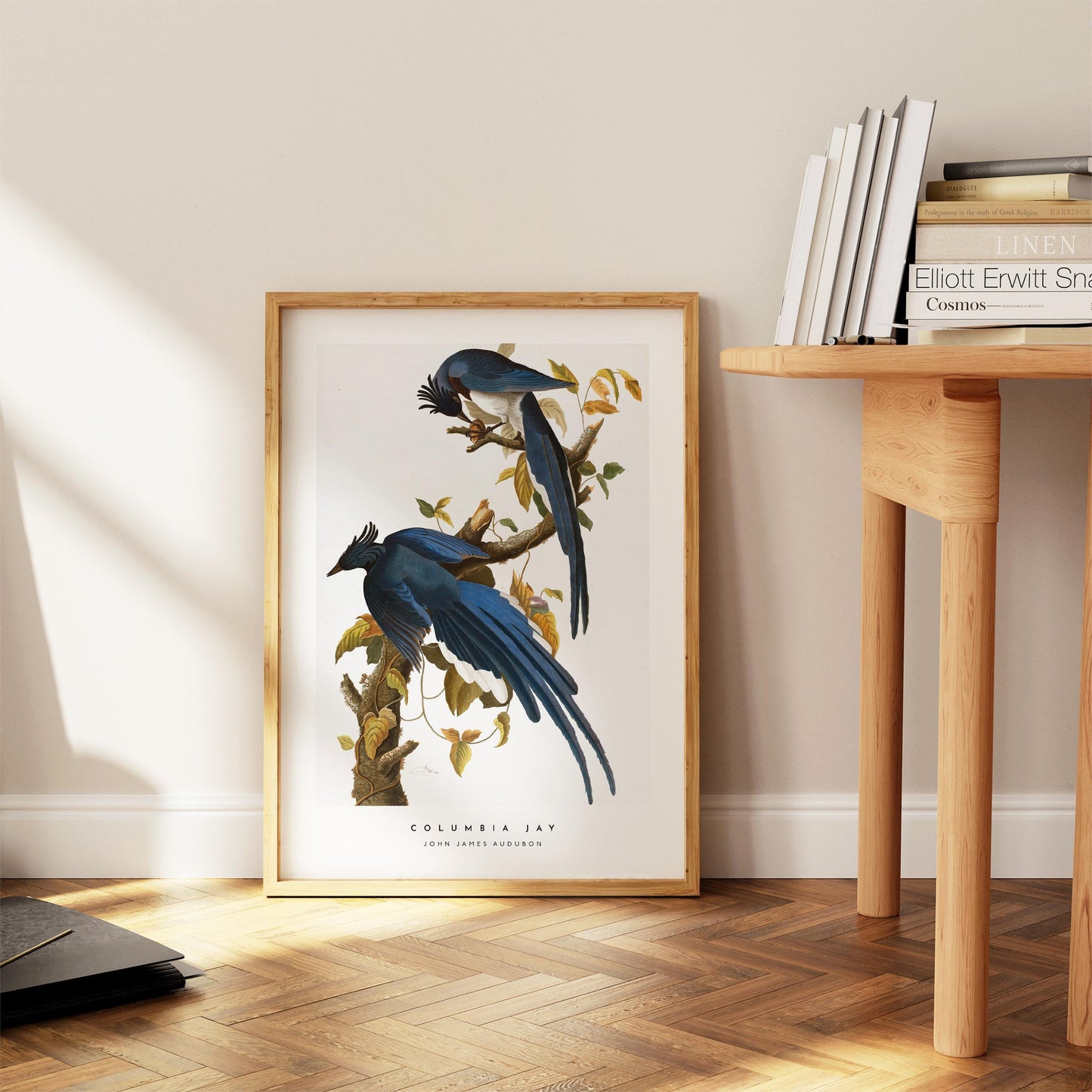 Columbia Jay Print
