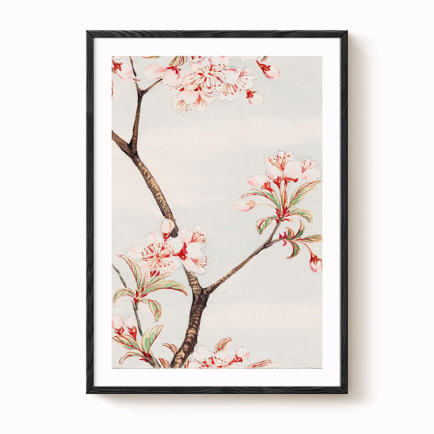 Megata Morikaga - Sakura Cherry Blossom Print